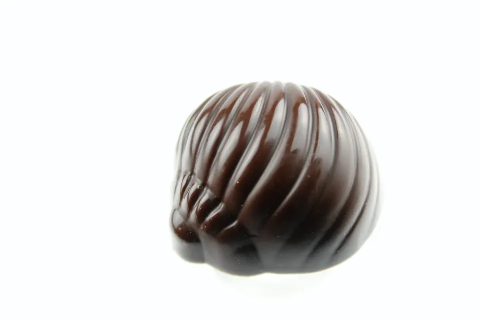 Chokoman Sneglehus chokoladeform til fyldt chokolade