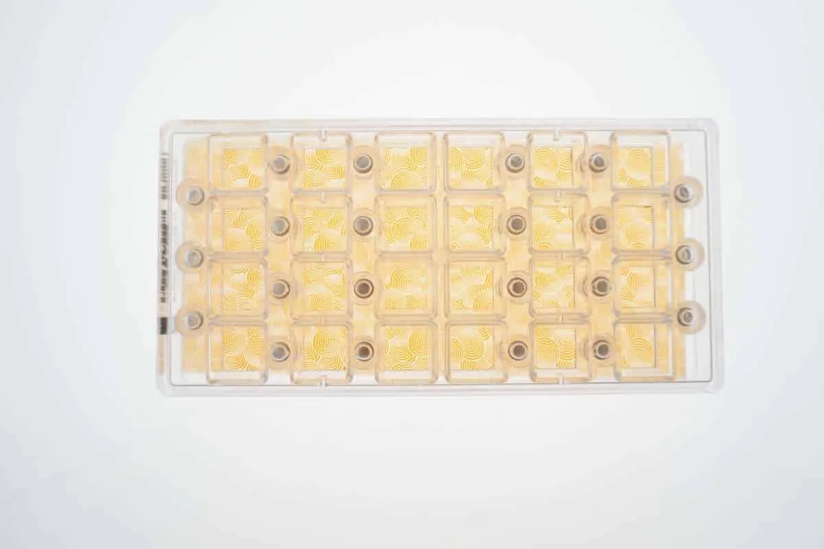 Chokoman Mønsterark Gule Skjolde til chokolade