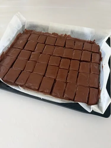 Malmö Chokoladefabrik Vegan Mylk 48% chokolade 5kg vegansk