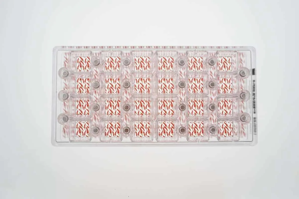 Chokoman Chilli mønsterark til chokolade