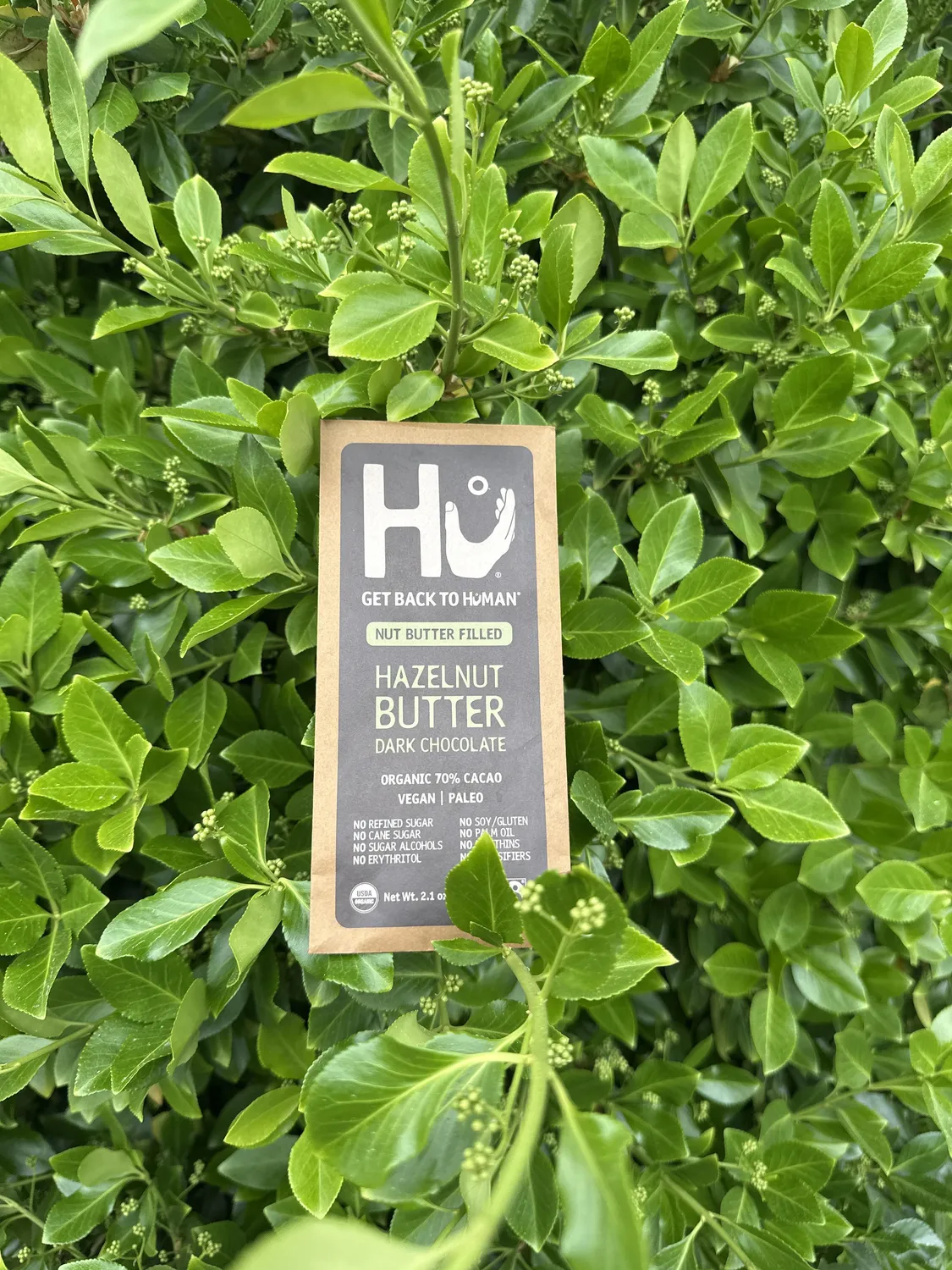 Hu Hazelnut Butter chokoladebar 6-pak 70%