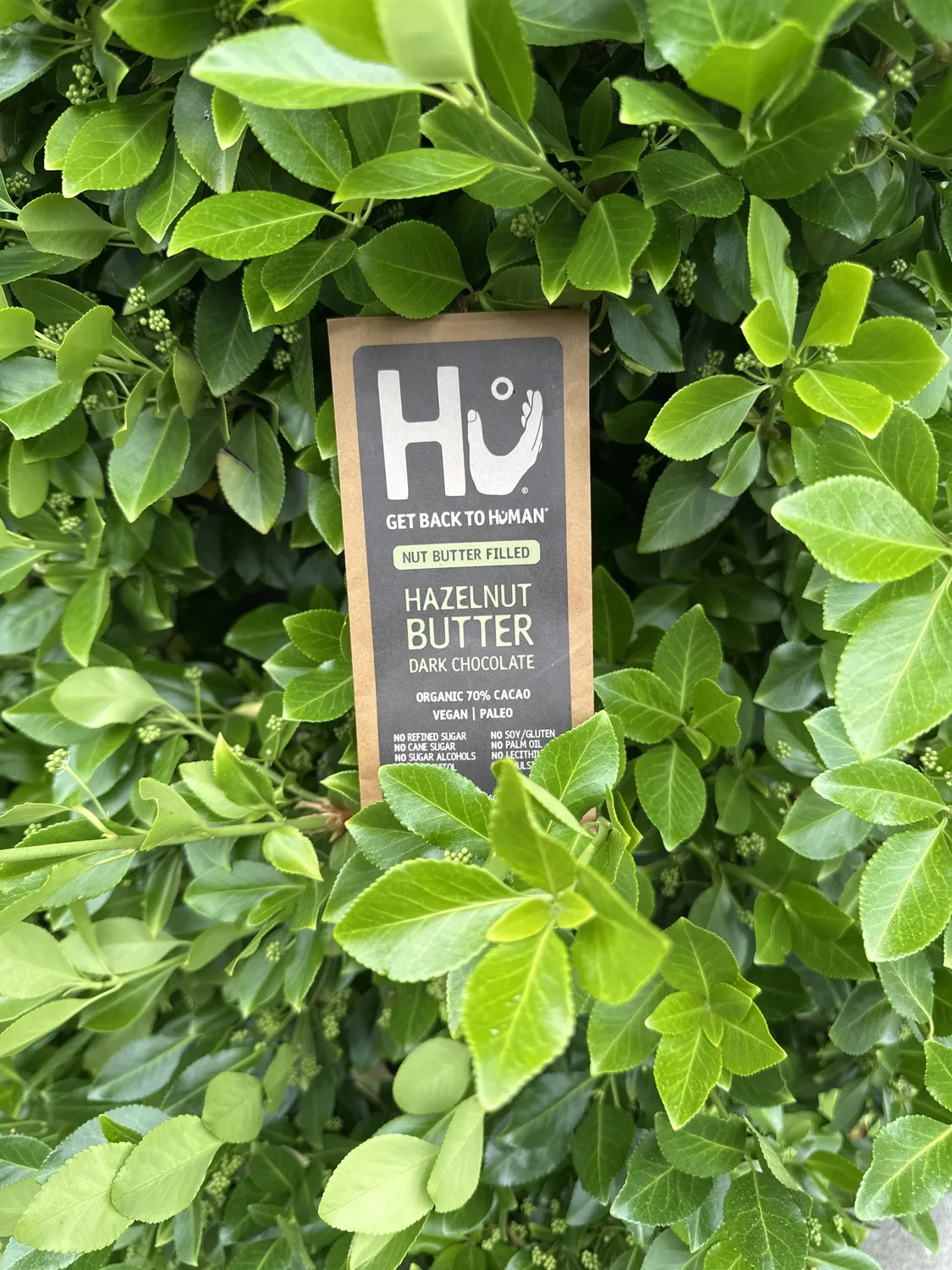 Hu Hazelnut Butter chokoladebar 6-pak 70%